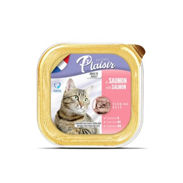 BARQUETTE PLAISIR PATE SAUMON 100GR