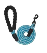 Pet Dog Leash