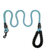 Pet Dog Leash 2