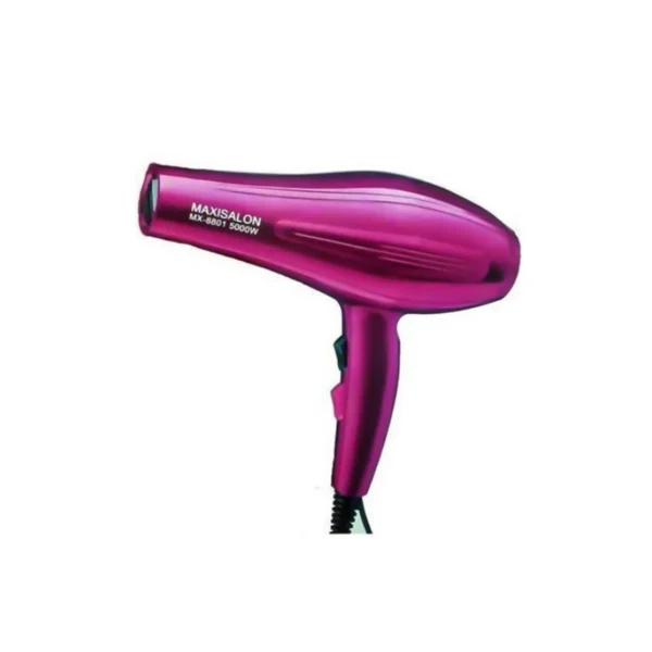 Séchoir Professionnel Maxisalon 5000W