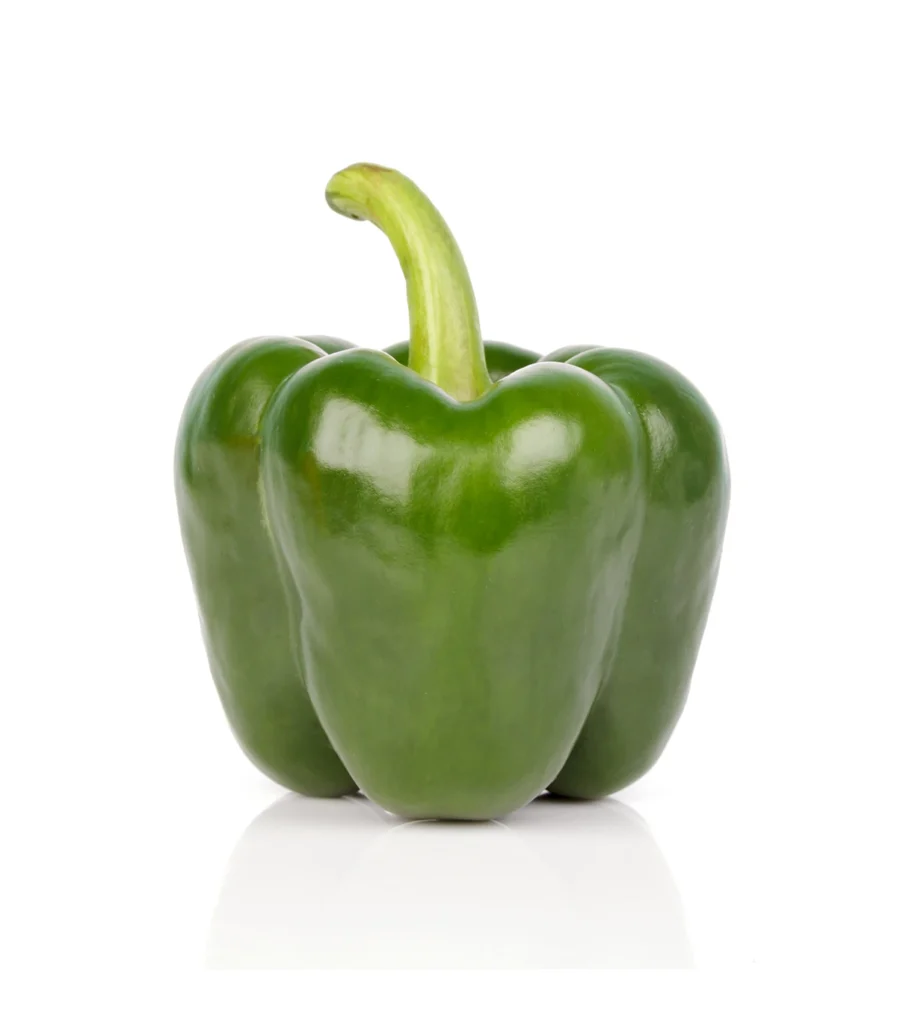 poivron vert