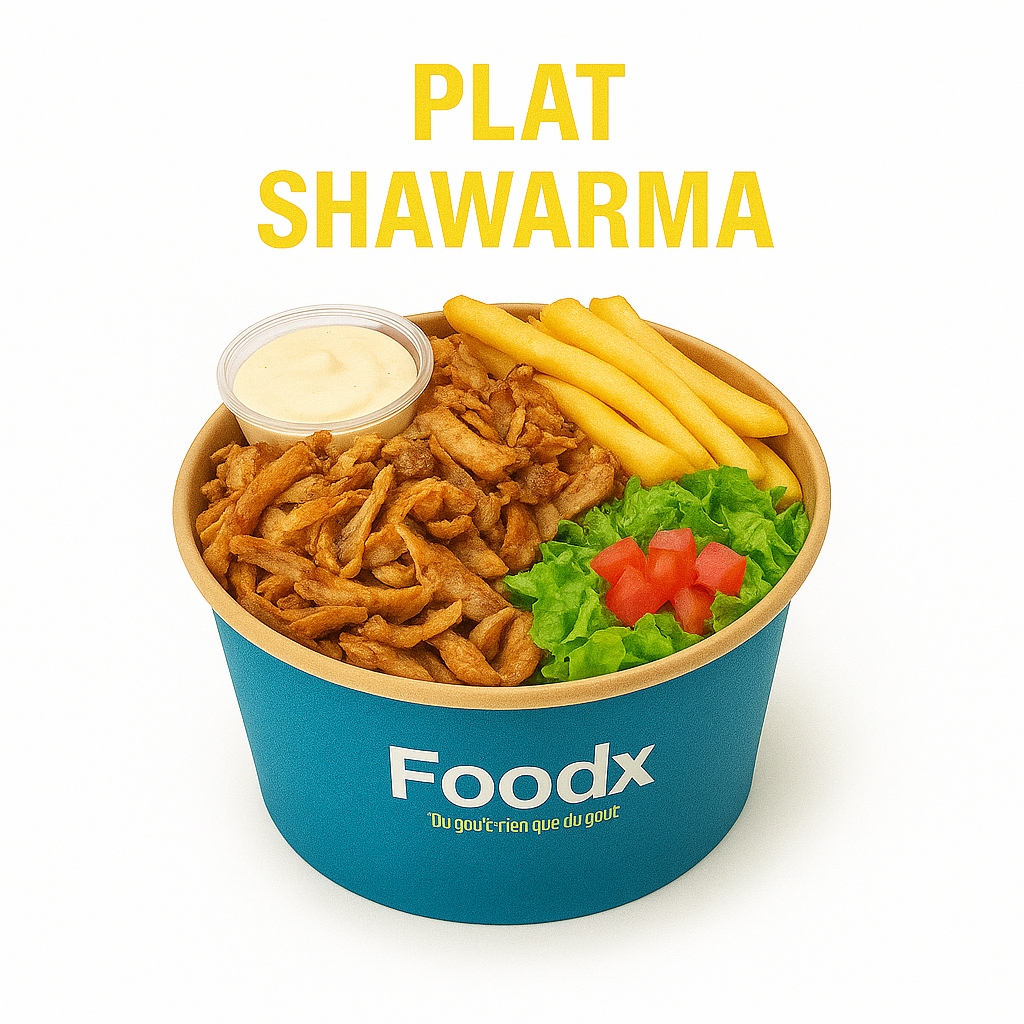 Plat Shawarma – Poulet Mariné, Frites & Légumes | Spécialité Orientale Gourmande