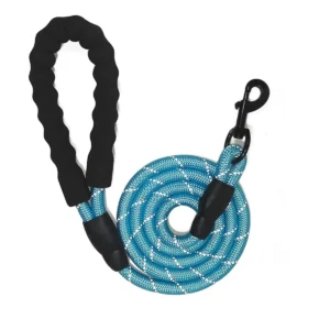 Laisse pour Chien Réfléchissante avec Poignée Rembourrée – Solide & Confortable