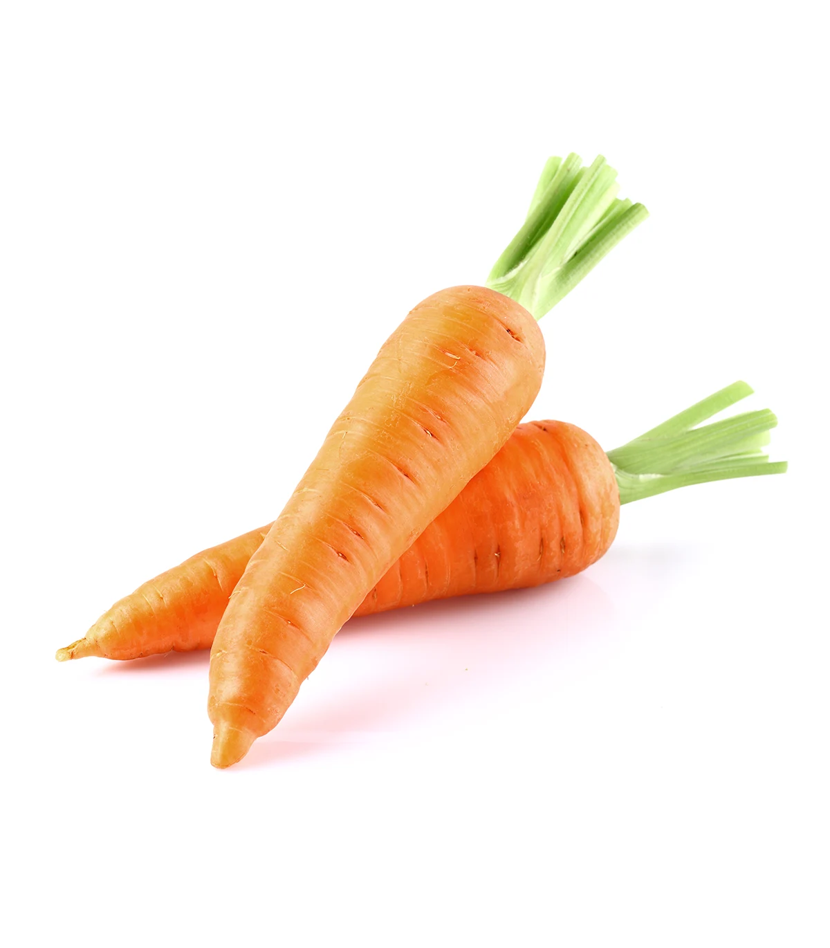 Carottes Fraîches – Légumes Croquants Riches en Vitamine A