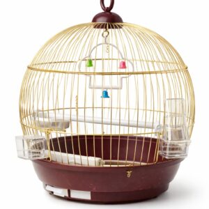 Cage pour oiseaux design doré avec accessoires | Maison oiseaux | YOURI E-MARKET Agadir