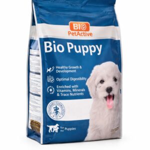 croquettes patees agadir